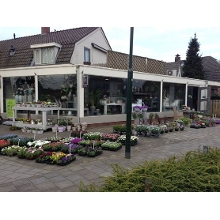 sleutjes bloemen den bosch bloemisten in rosmalen regiobloemist sleutjes bloemen den bosch bloemisten in rosmalen regiobloemist