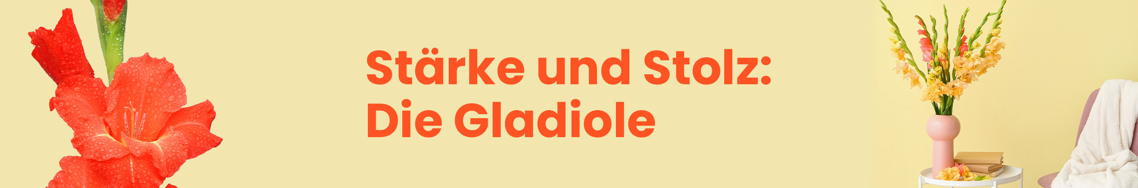 Banner Gladiolen