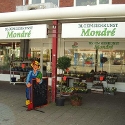 Bloemsierkunst Mondré