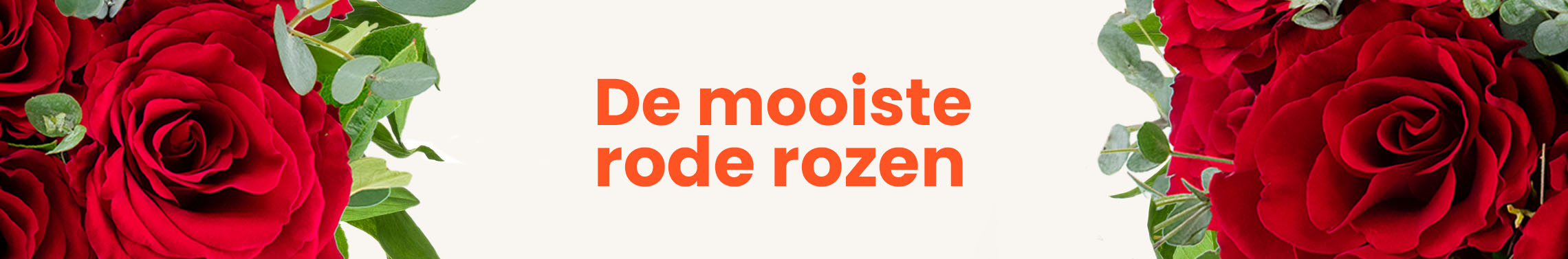 Rode rozen bestellen bij Regiobloemist – dagvers en met 7 dagen versgarantie