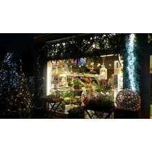Fleuriste province Hainaut