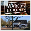 Marco' s Bloemen