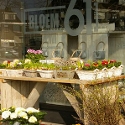 BLOEM nr. 61