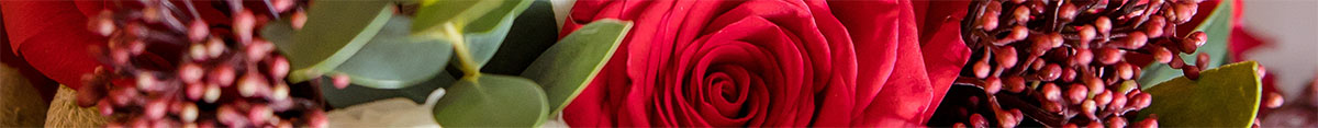 Banner Winter Flowers