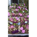Bloemenhal Peters