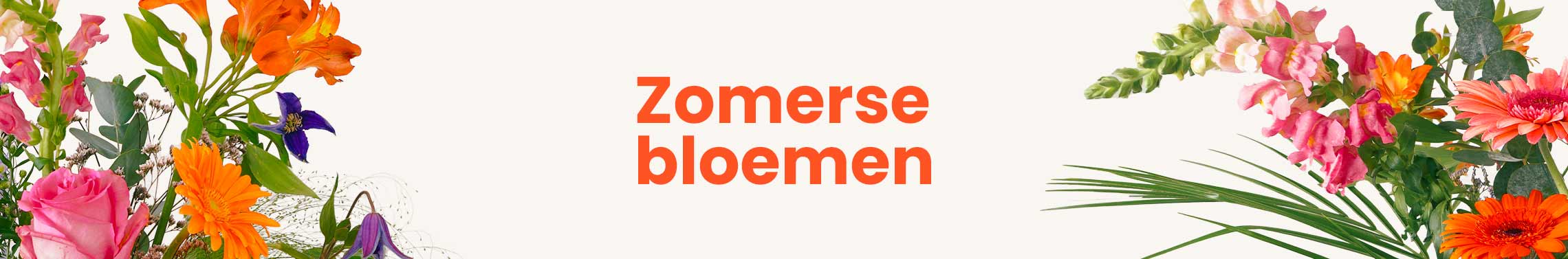 Banner Zomerbloemen versturen