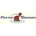 Bloemsierkunst Pierrot