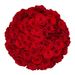 50 Rote Rosen - Premium Red Naomi