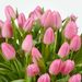 Roze tulpenboeket