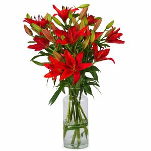 Lilies - Red Lilies