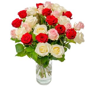 30 Mixed Roses Red / White / Pink