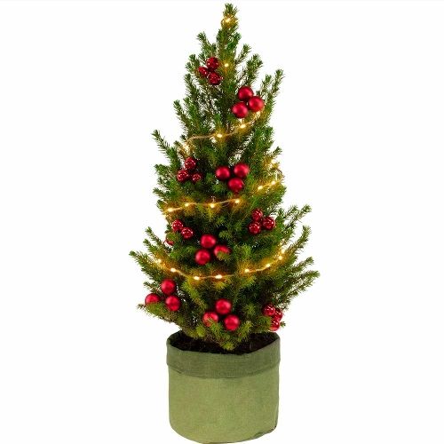 Mini Christmas tree red + free green bag