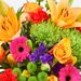 Strahlender Blumenstrauß mit Vase
