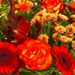 Blumenstrauß des Monats