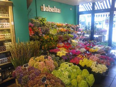 Bloemenhuis Lobelia Hilversum - sfeershot bloemenwinkel 2