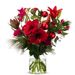 Red Velvet (large)