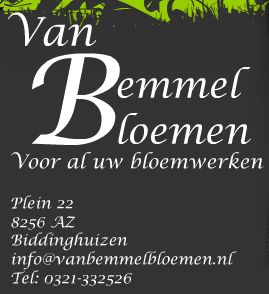 Logo van Van Bemmel Bloemen Biddinghuizen