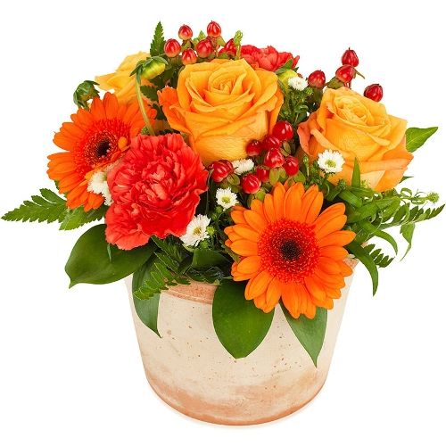 Flower-Power