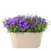 Campanula lila + gratis pot taupe