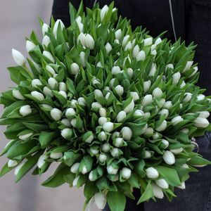Grote bos witte tulpen XL