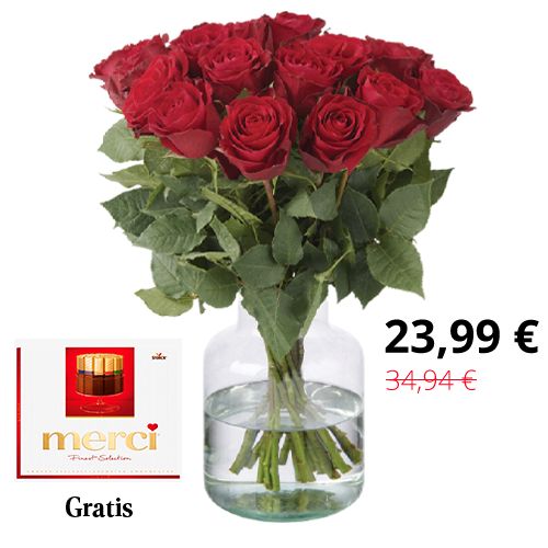 20 Rote Rosen (40 cm) + Gratis Merci Pralines