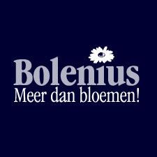 Logo van Bolenius uit Diessen