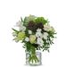 Soft Winter (small)