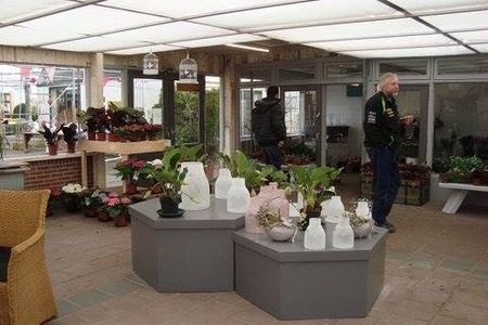 In de bloemenwinkel - Casa Flores Berkhout