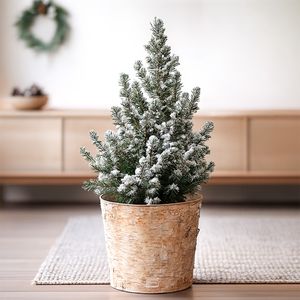 Mini Christmas tree snow with birch pot