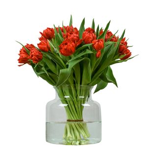 Rode dubbele tulpen