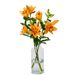 Lilien - Orange Lilien