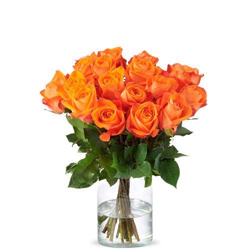 20x oranje rozen (40cm)