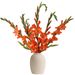 Oranje gladiolen (medium)
