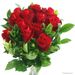 Rode rozen