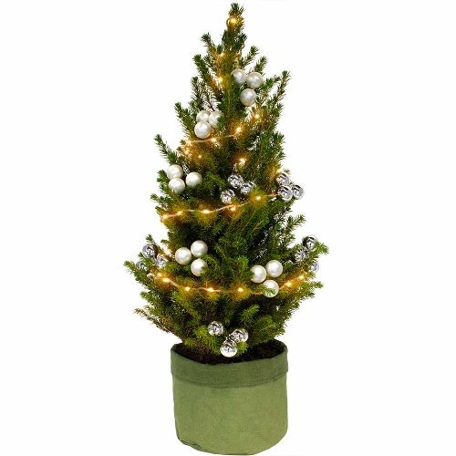 Mini kerstboom zilver + gratis groene zak bestellen en door