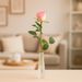 Premium rosa Rose + gratis Vase