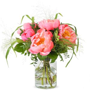 Dreamy pink peonies