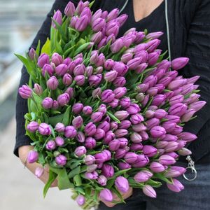 Grote bos paarse tulpen XL