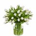 Bouquet of white tulips