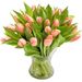 light pink tulips treasure