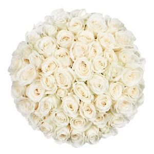 50 Premium witte rozen