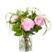 Rosa Pfingstrosen Gwen (small)