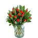 Tulip Bouquet Timeless Red