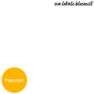 Plukboeket Kiki overlay