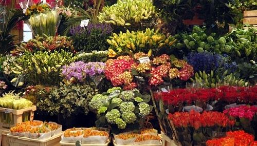 Bloemen en planten voordeel