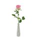 1 premium roze roos + vaas