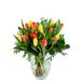 Tulpenboeket Stralend