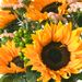 Bouquet of the month July