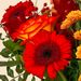 Blumenstrauß des Monats