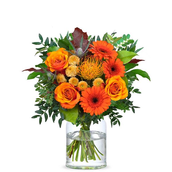 BLUMENSTRAU VERSCHICKEN visual data 6